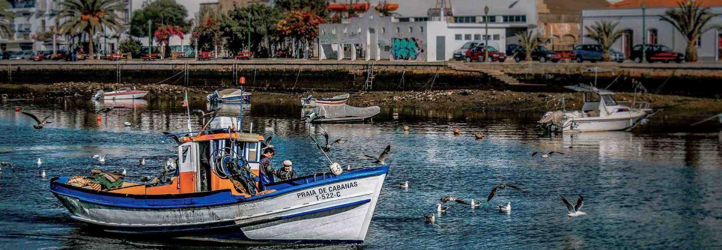 Algarve City Guide